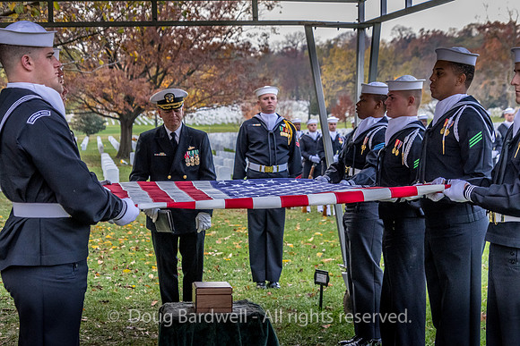 Arlington -181119-9797