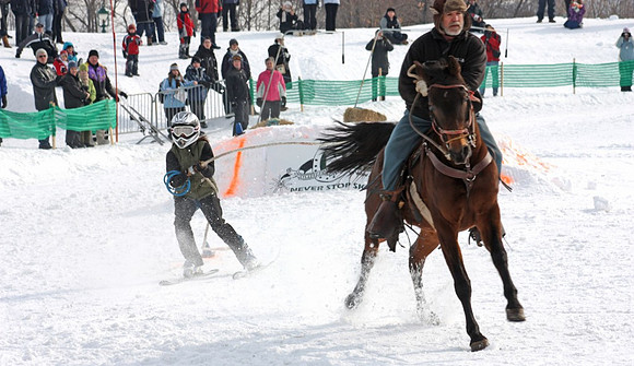 ski_joring2-1024x591