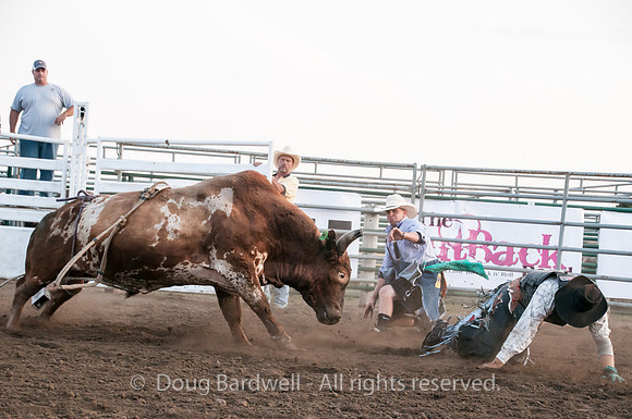 Rodeo-7688