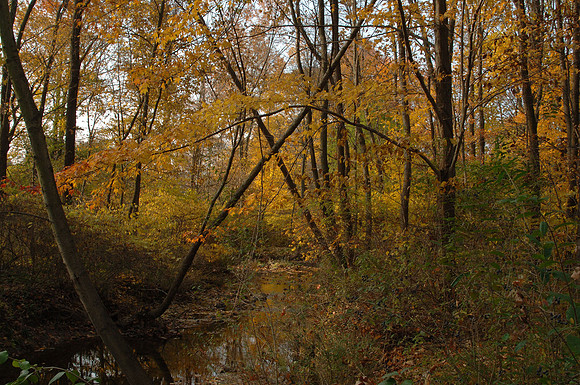 dsc_2712-s