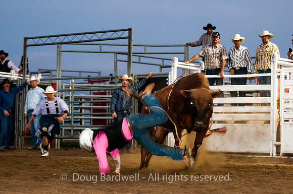 Rodeo-7855