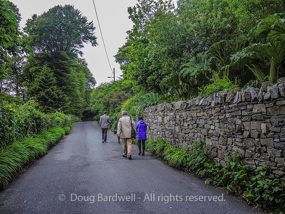 Galway-8672