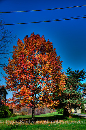 121024-3243__H