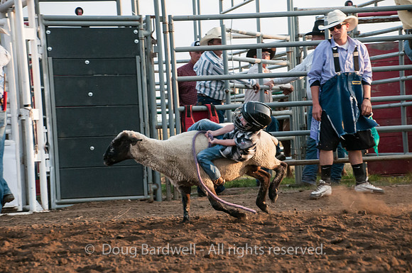 Rodeo-7604