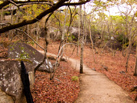 111015IMG_0144