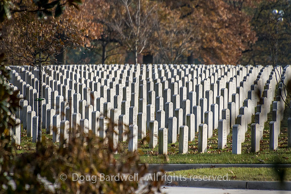 Arlington -181119-9583