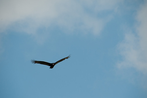 120221DSC_2029