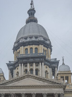 Springfield-9356