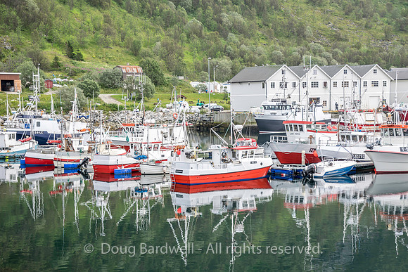 Norway-8573