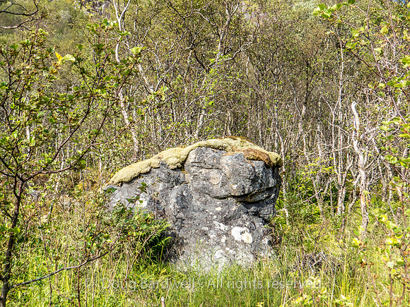 Norway-0809