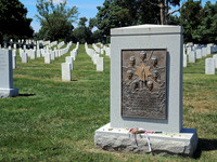 Arlington-9432