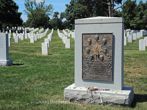 Arlington-9432