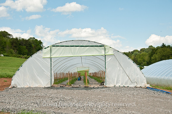100514_3CS9866