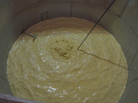 Willett_Distillery-7909