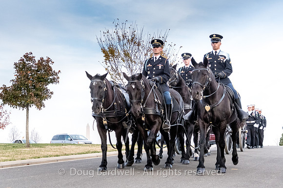 Arlington -181119-9687