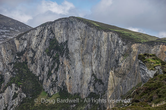 Donegal-2040