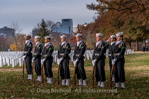 Arlington -181119-9798