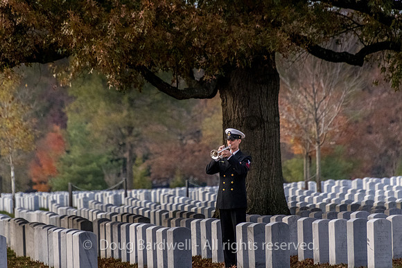 Arlington -181119-9816
