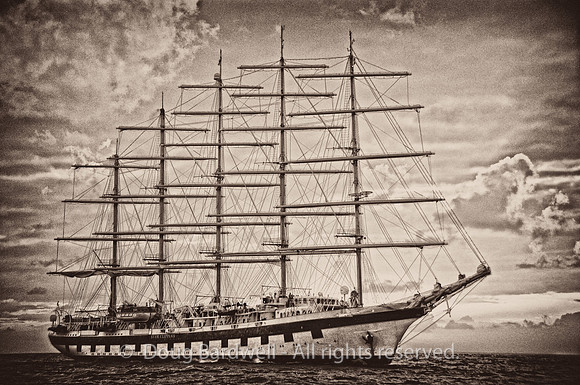 110209_0028_CF_SF