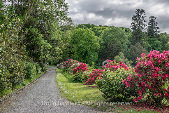 WildAtlanticWay-3668