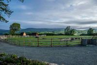 PodPairc-3804