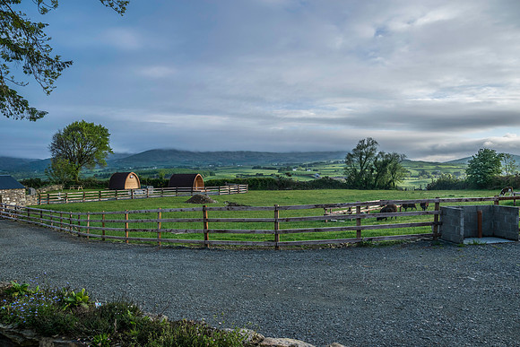 PodPairc-3804
