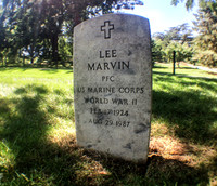 Arlington-06