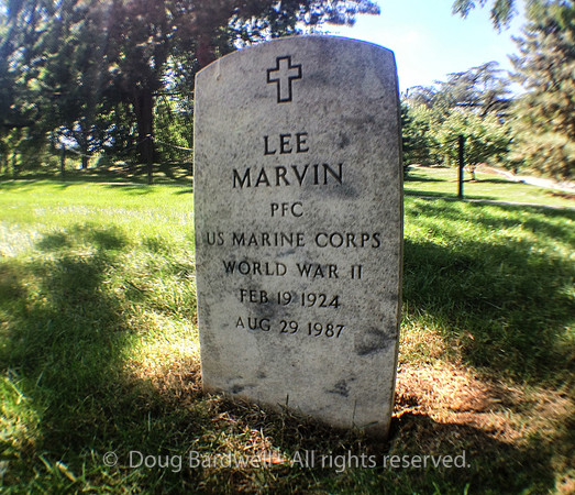 Arlington-06