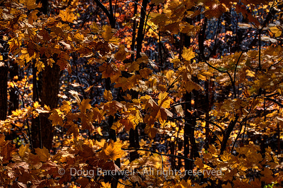 121024-3248__H