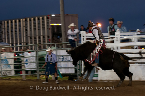 Rodeo-7866