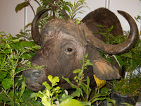 111012IMG_0431