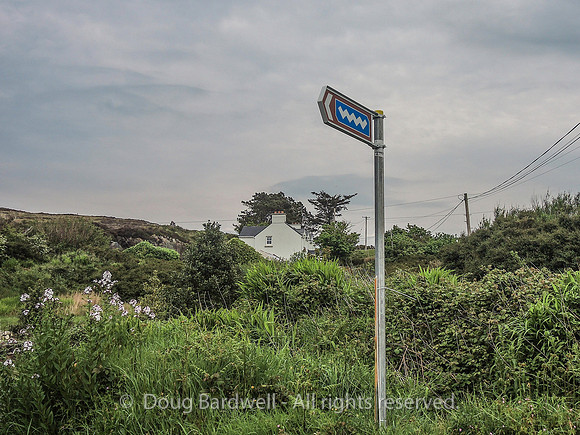 Donegal-8527