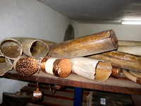 111012IMG_0379