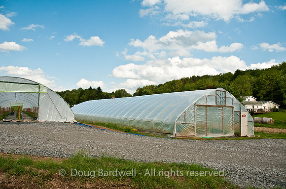 100514_3CS9867