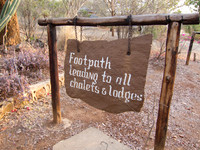 111014IMG_0078