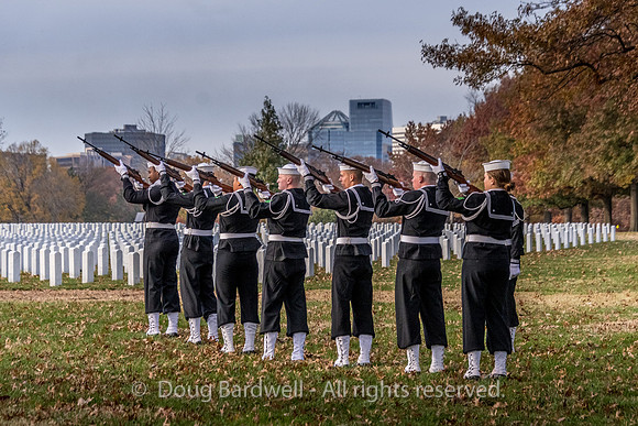 Arlington -181119-9802