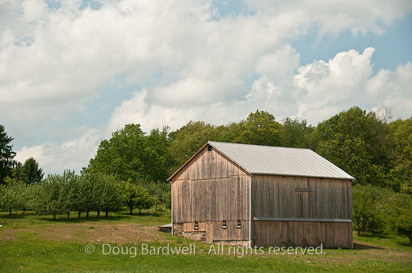 100514_3CS9765