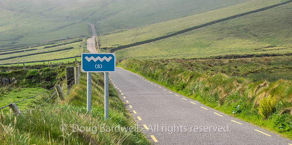 Ireland-4959