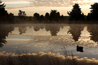1400x1024 Emmons duck sunrise-s