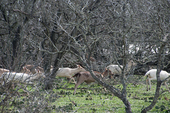 120221DSC_2001