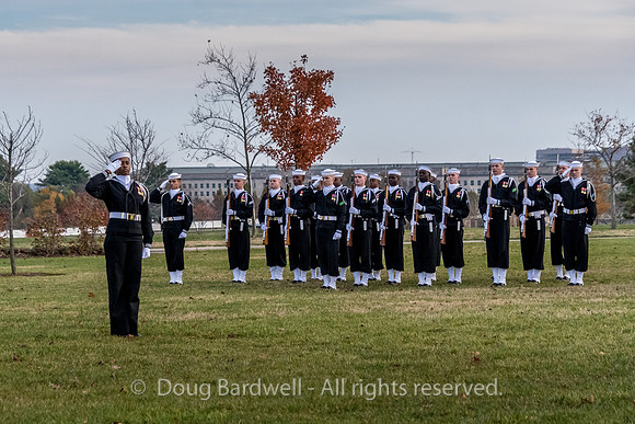 Arlington -181119-9628