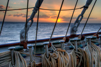 110207DSC_1289H