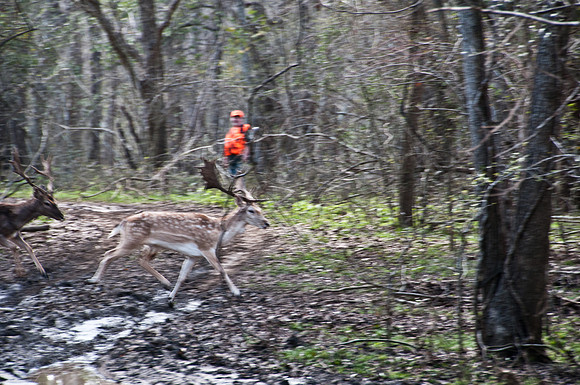 120221DSC_2122