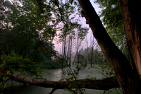 110730_DSC9827_H_Enhancer