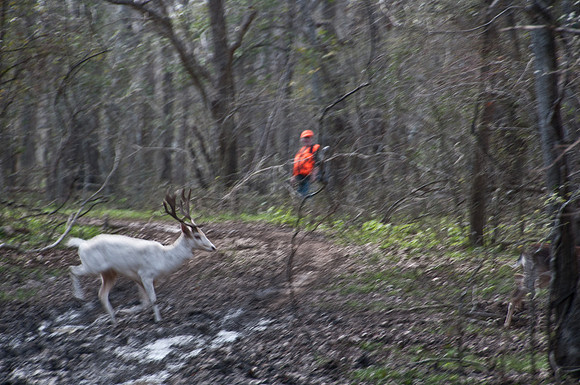 120221DSC_2128