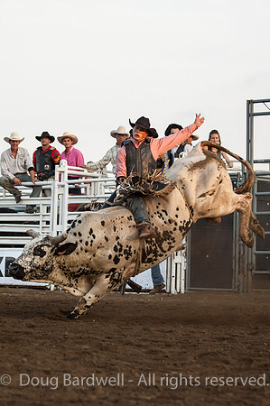 Rodeo-5964
