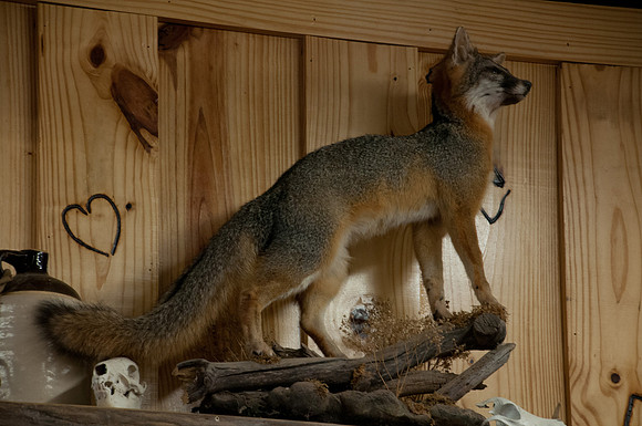 120221DSC_2067