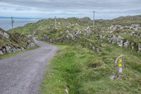 Sheepshead-3064