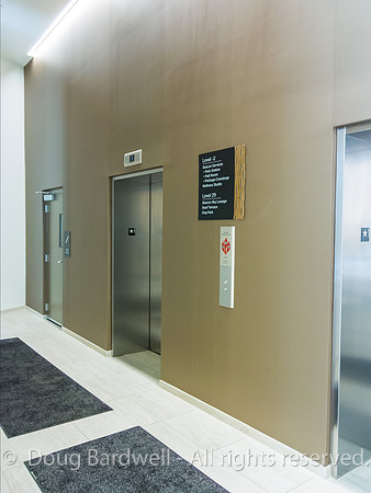 200313-L16_05929