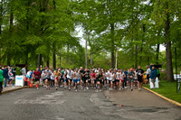 100502_3CS8833